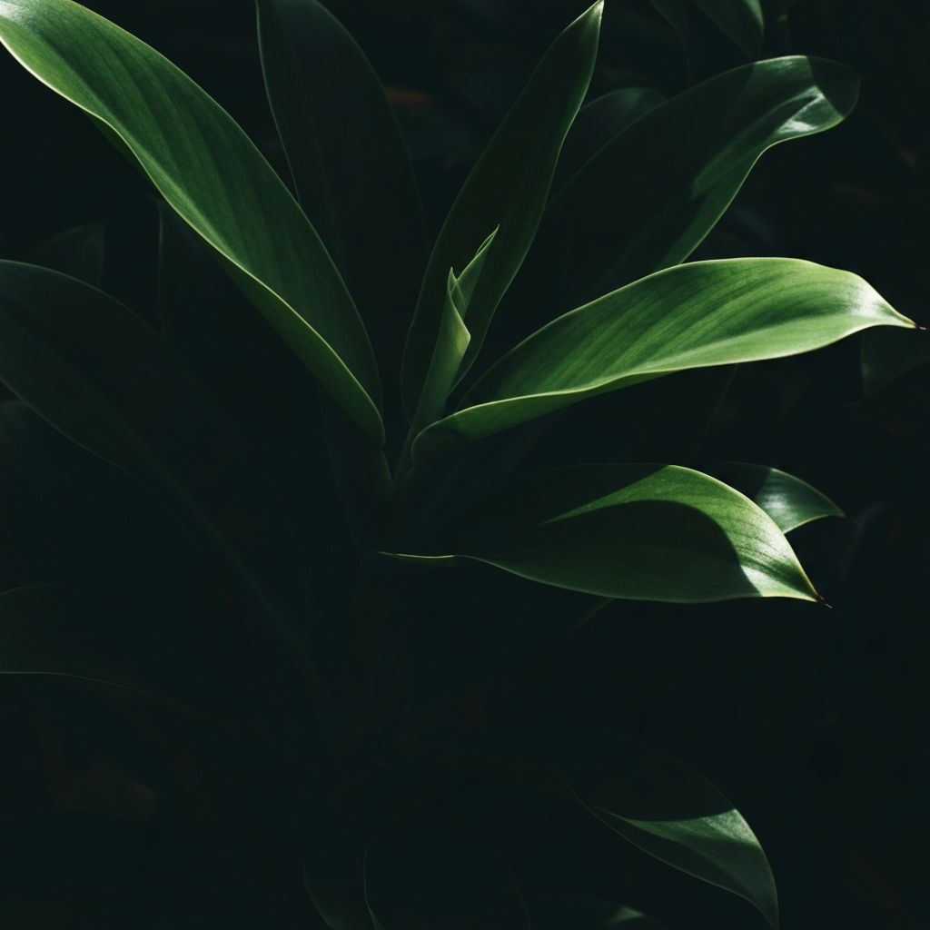 Тропически растения с ефектно светлосенково осветление